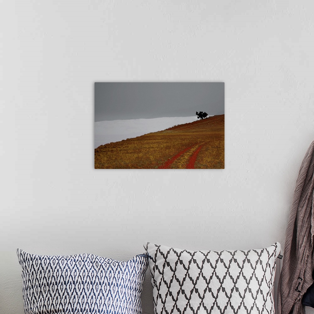 A bohemian room featuring Abstract landscape photograph of a hill with tire marks and a single tree at the top.