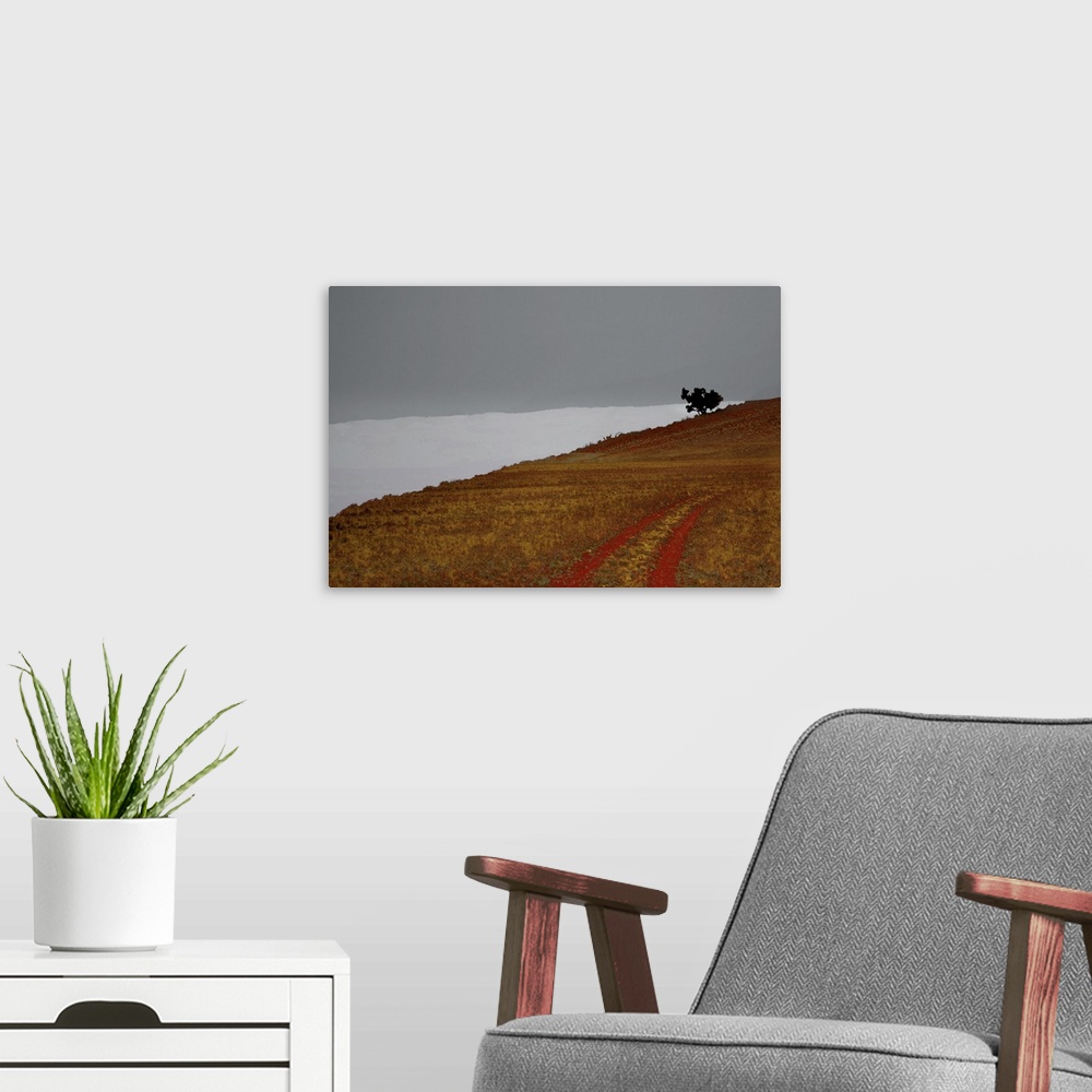 A modern room featuring Abstract landscape photograph of a hill with tire marks and a single tree at the top.