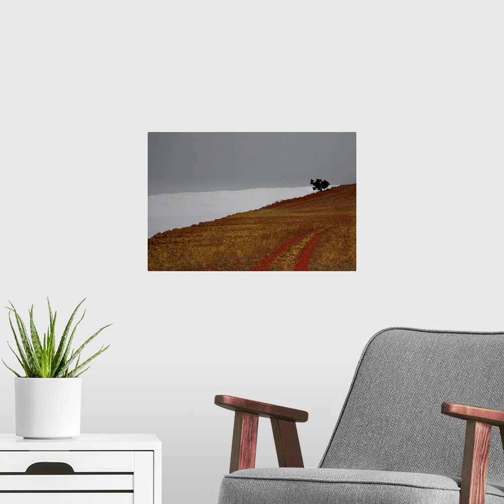 A modern room featuring Abstract landscape photograph of a hill with tire marks and a single tree at the top.
