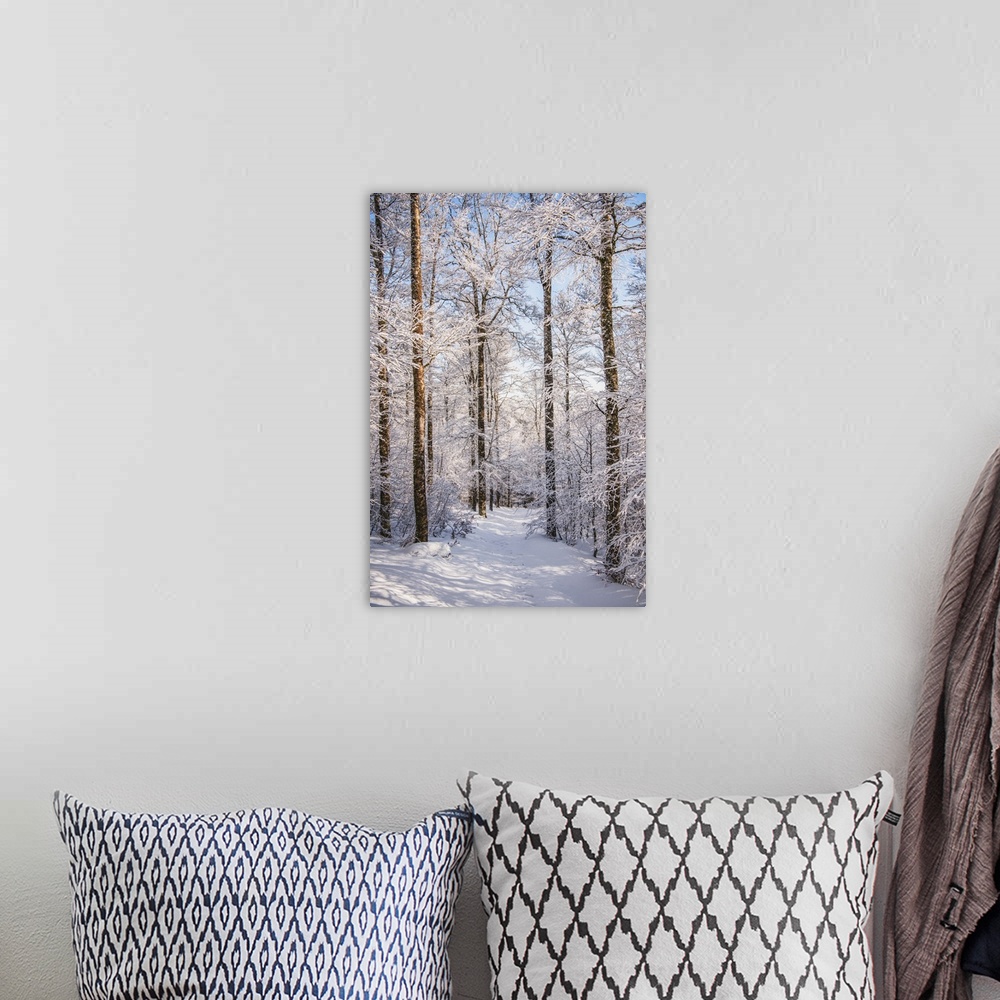 A bohemian room featuring Winter wonders.