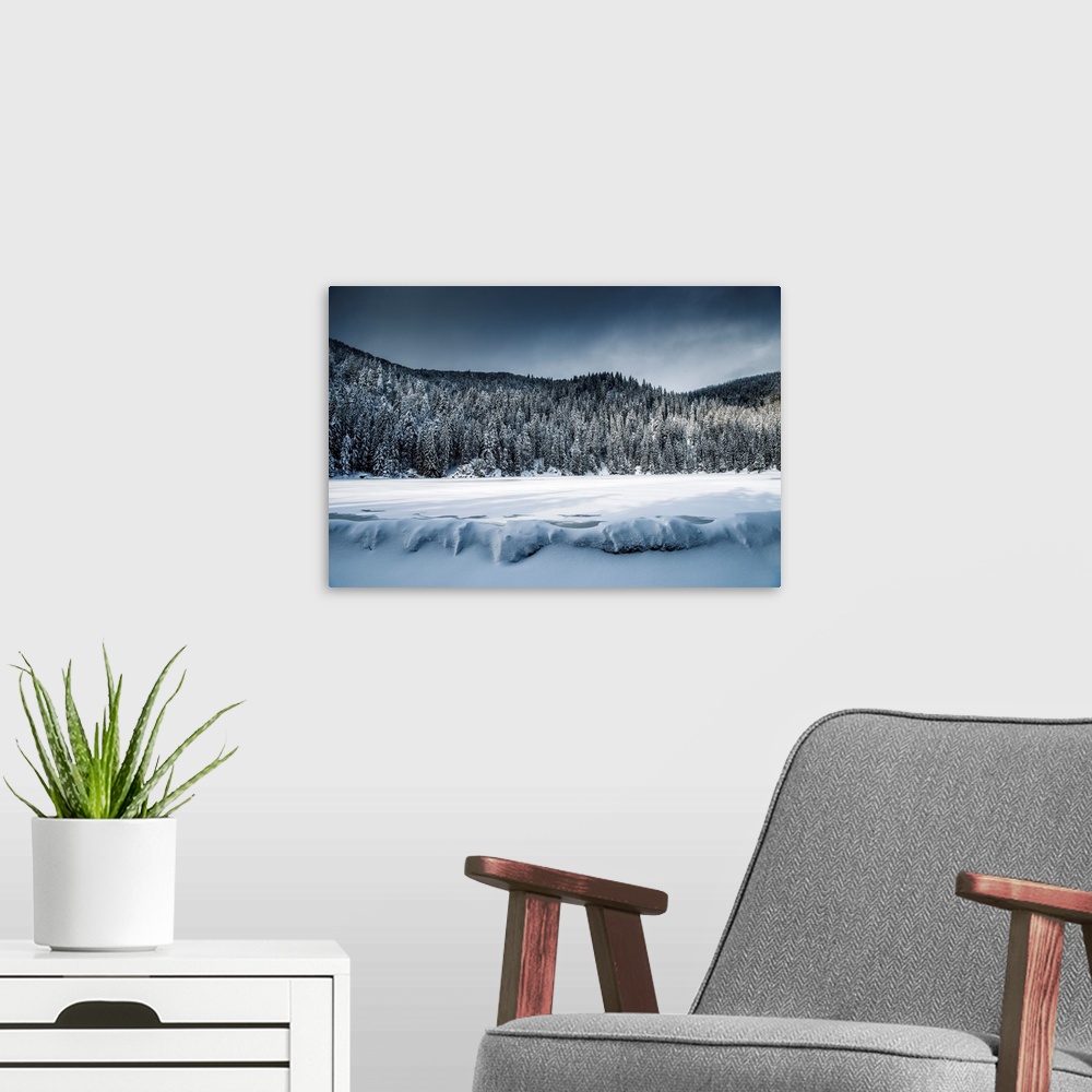 A modern room featuring Winter landscape around a frozen lake and snow-covered fir trees