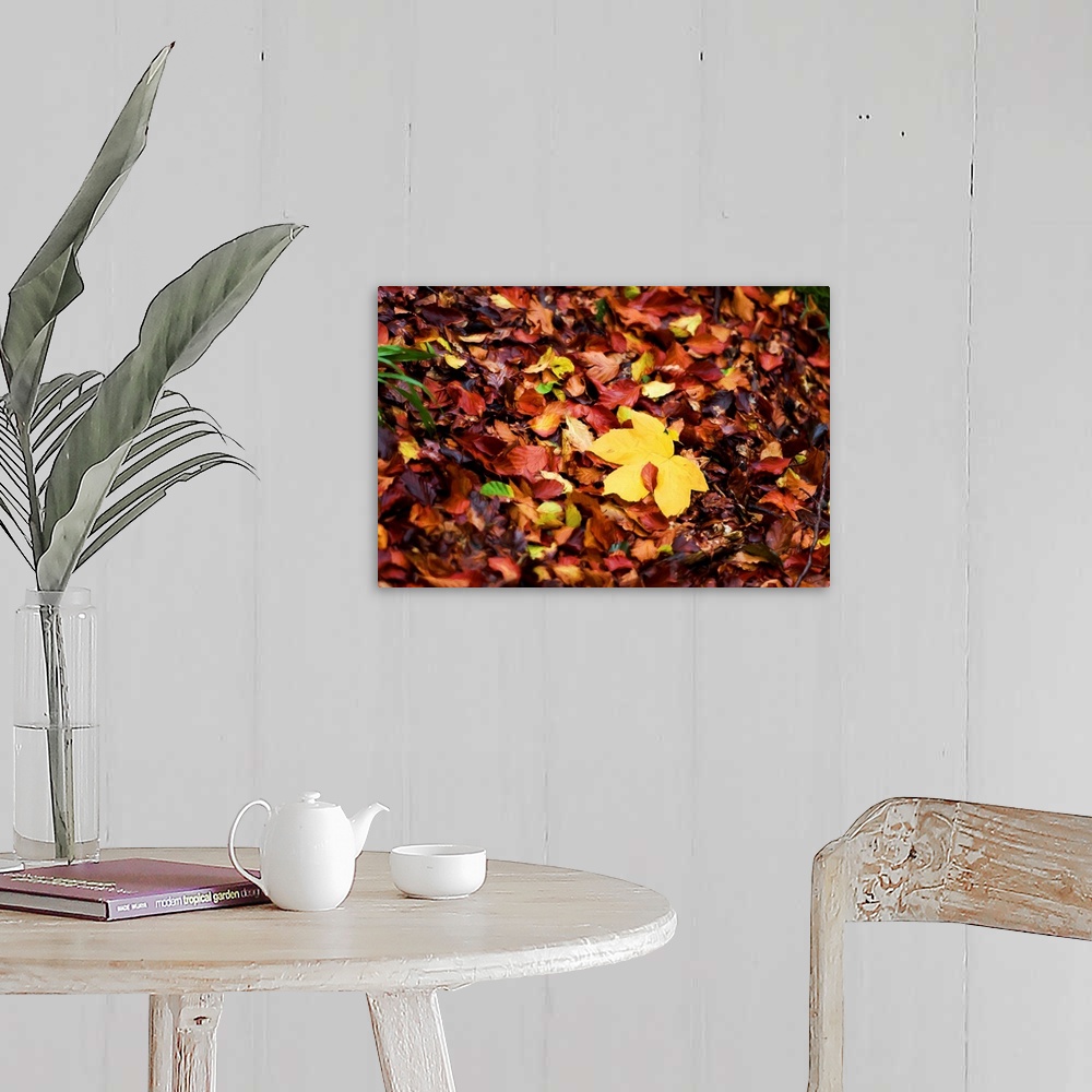 A farmhouse room featuring Photograph of a pile of Autumn leaves with a painted look finish.