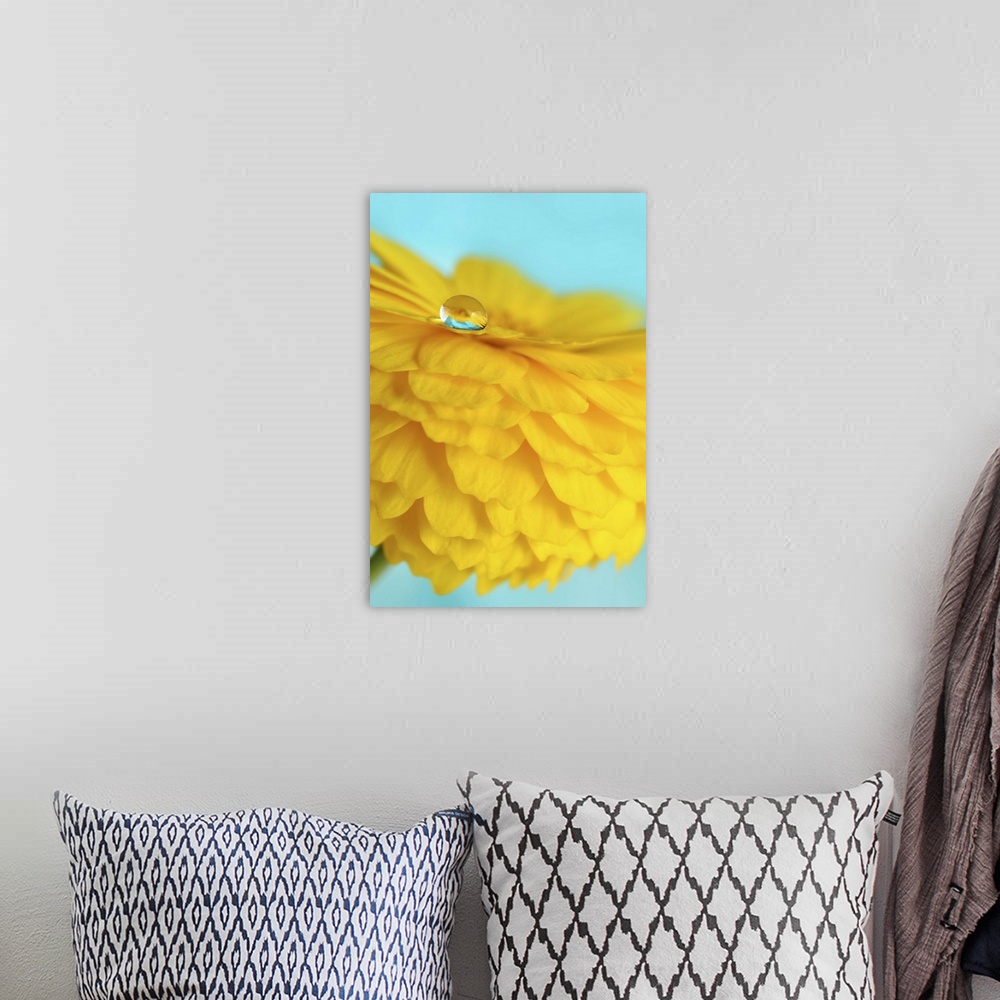 A bohemian room featuring A macro photograph of a water droplet sitting on the edge of a yellow flower petal.