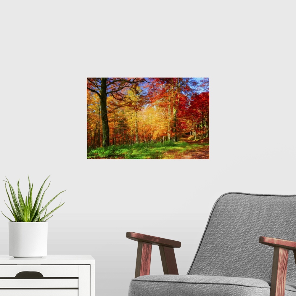 A modern room featuring Stunning fall colors in a forest with a blue sky and tall trees.