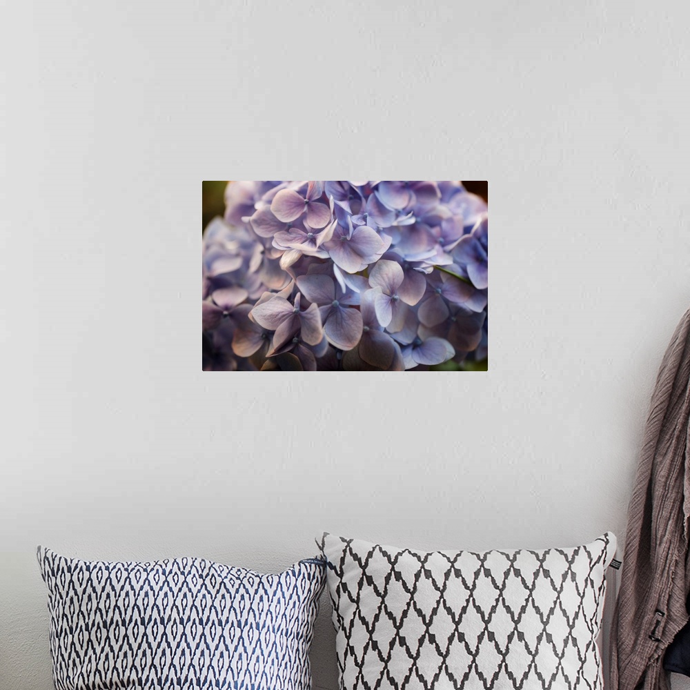 A bohemian room featuring Photograph of an extreme close-up of a pale soft purple flowers.