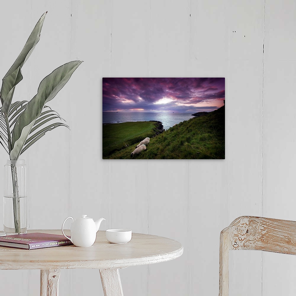 A farmhouse room featuring Fine art photo of grassy hills overlooking the sea under a pastel sky at dusk.