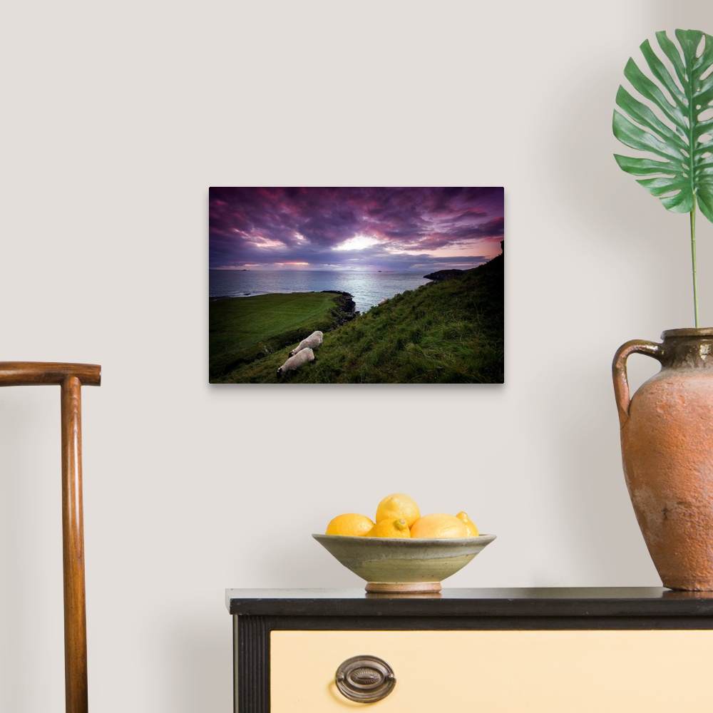 A traditional room featuring Fine art photo of grassy hills overlooking the sea under a pastel sky at dusk.