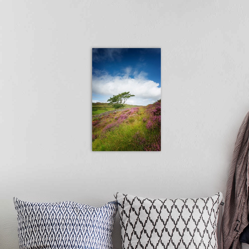 A bohemian room featuring Fine art photo of a tree at the edge of a field of wildflowers under a cloudy sky.