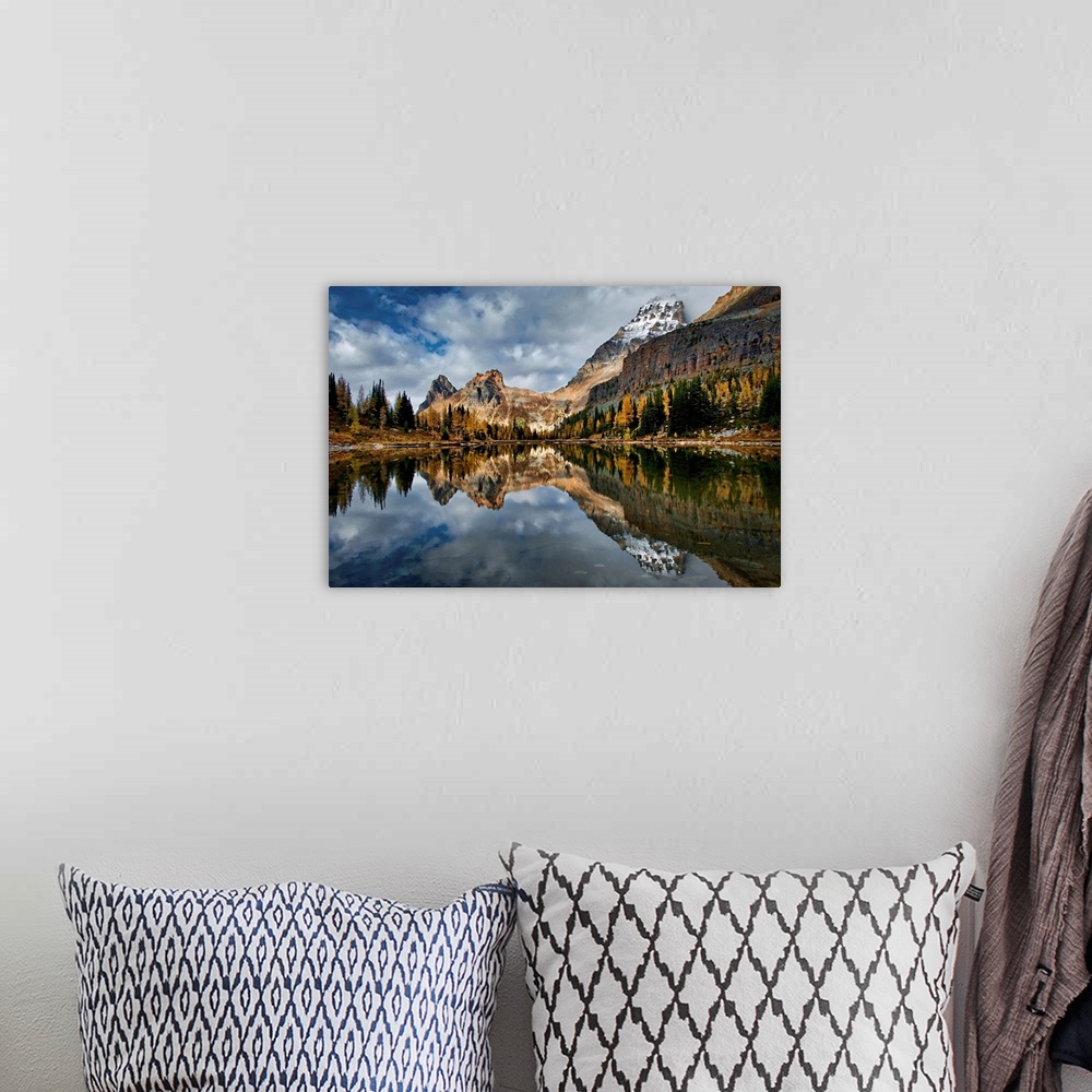A bohemian room featuring An image made in late September in the Lake O'Hara area in British Columbia, Canada. This is in t...