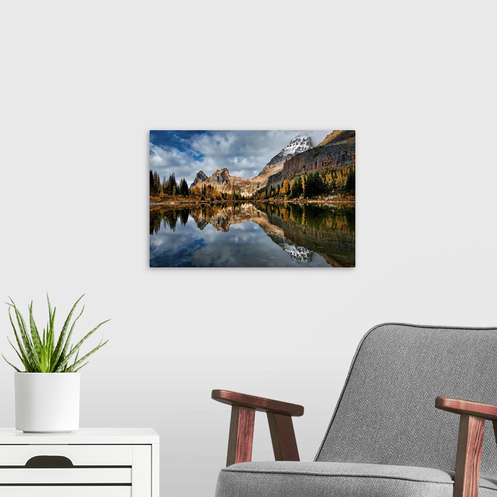 A modern room featuring An image made in late September in the Lake O'Hara area in British Columbia, Canada. This is in t...