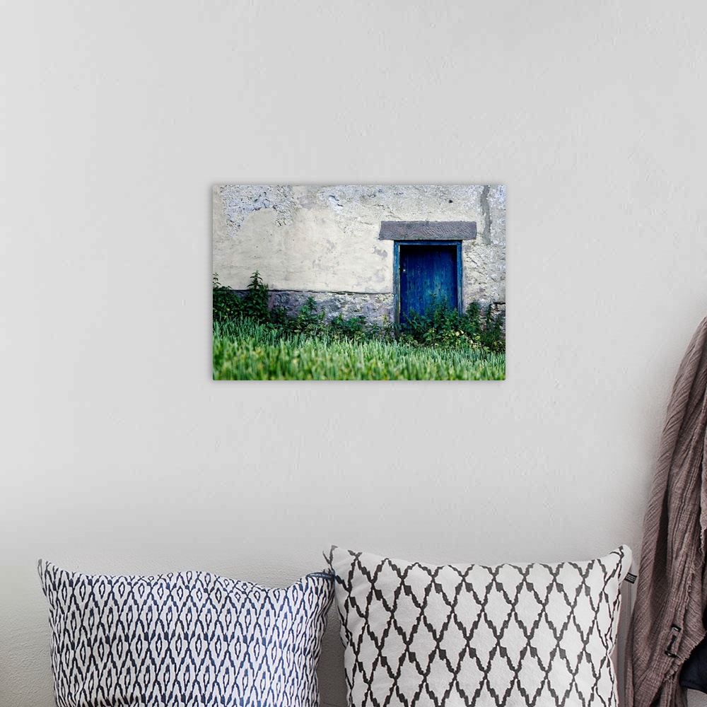 A bohemian room featuring Big, landscape wall picture of a blue door surrounded by a grey cement wall.  Tall green grasses ...