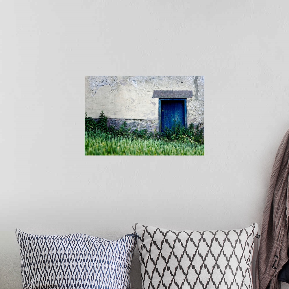 A bohemian room featuring Big, landscape wall picture of a blue door surrounded by a grey cement wall.  Tall green grasses ...