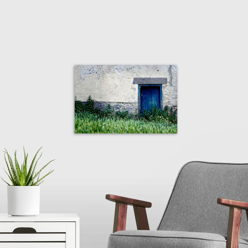 A modern room featuring Big, landscape wall picture of a blue door surrounded by a grey cement wall.  Tall green grasses ...