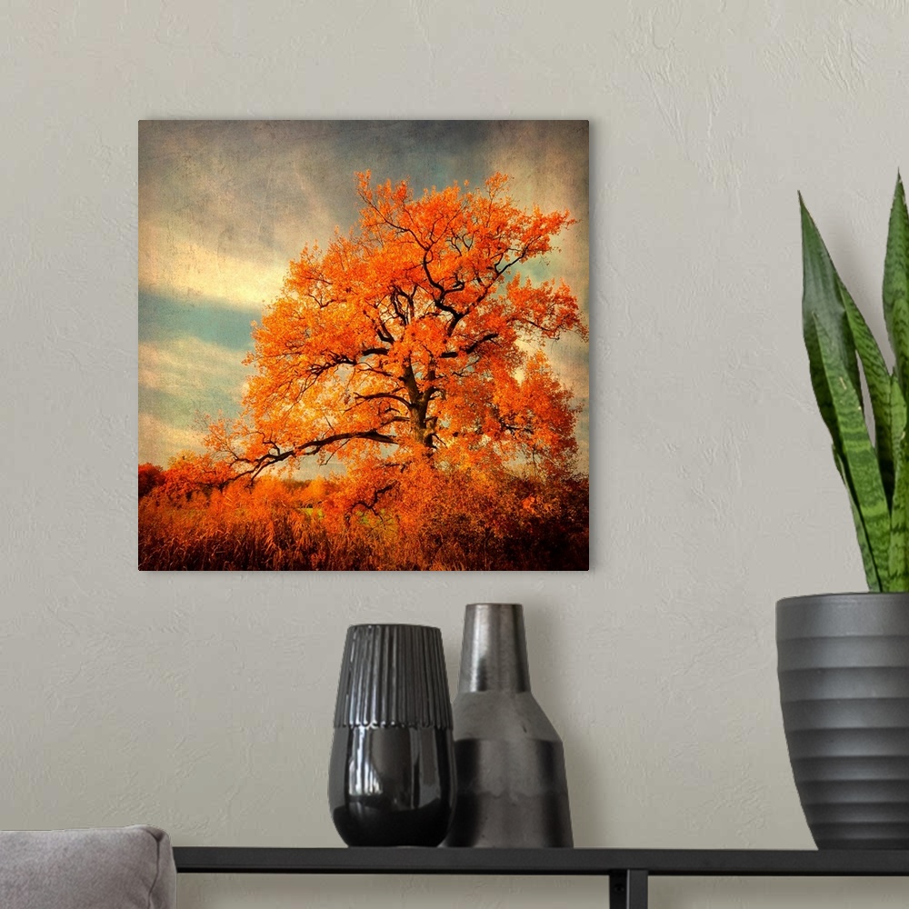 A modern room featuring Fine art photography of a lone brilliant order leaf tree standing in the high grass of a field.