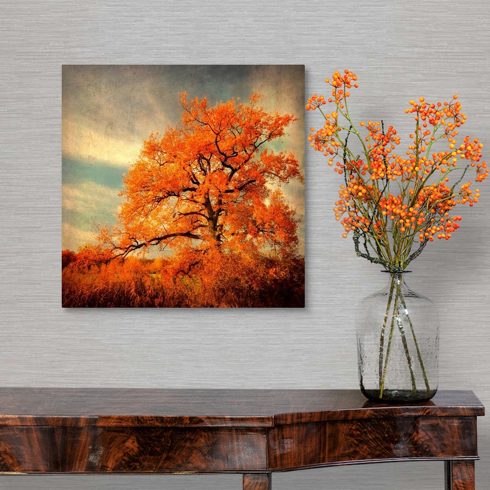 A traditional room featuring Fine art photography of a lone brilliant order leaf tree standing in the high grass of a field.