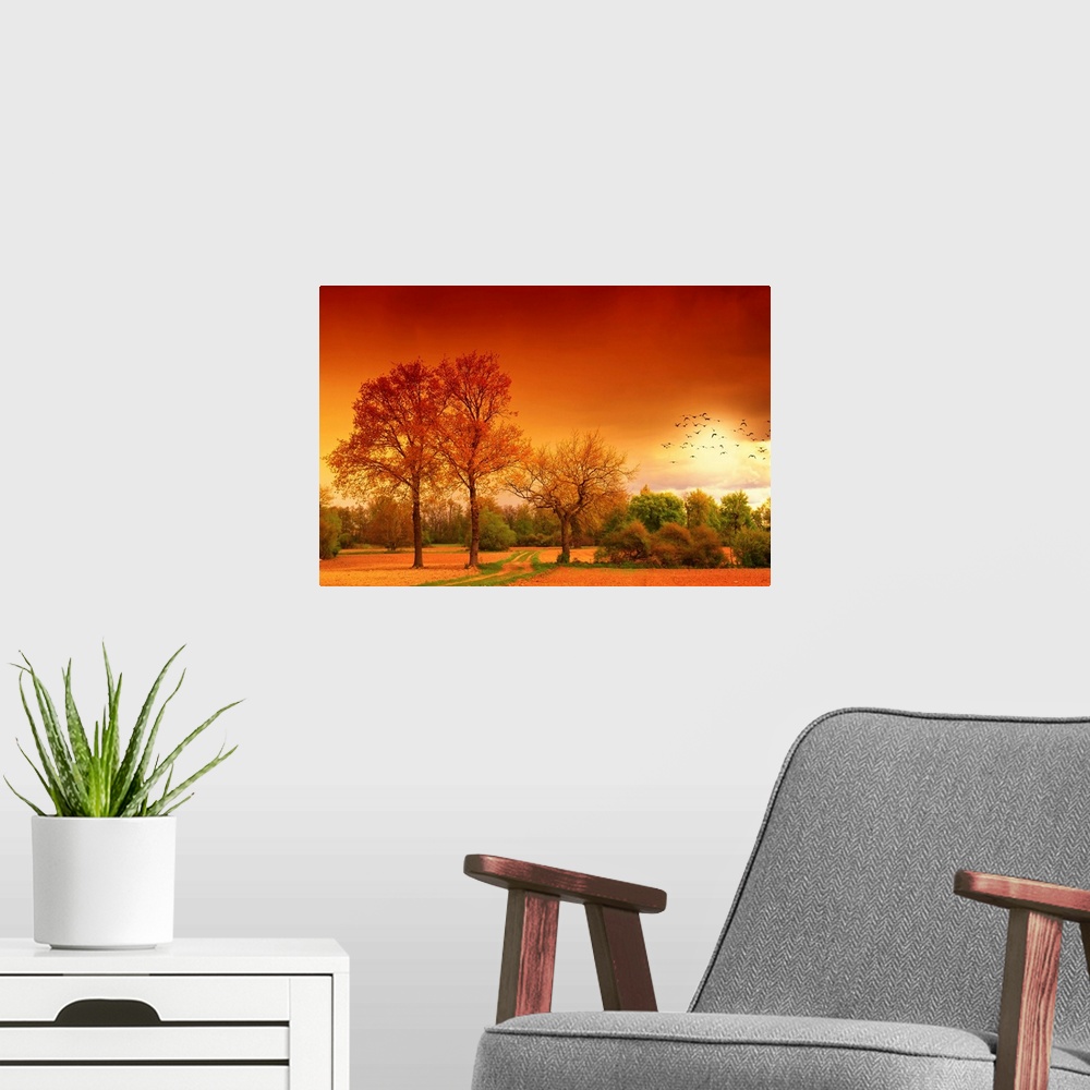 A modern room featuring This large lanscape piece shows a field with immense trees that have autumn colored leaves. Green...