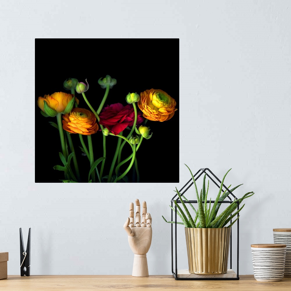 A bohemian room featuring Photograph of flowers and buds on dark background.