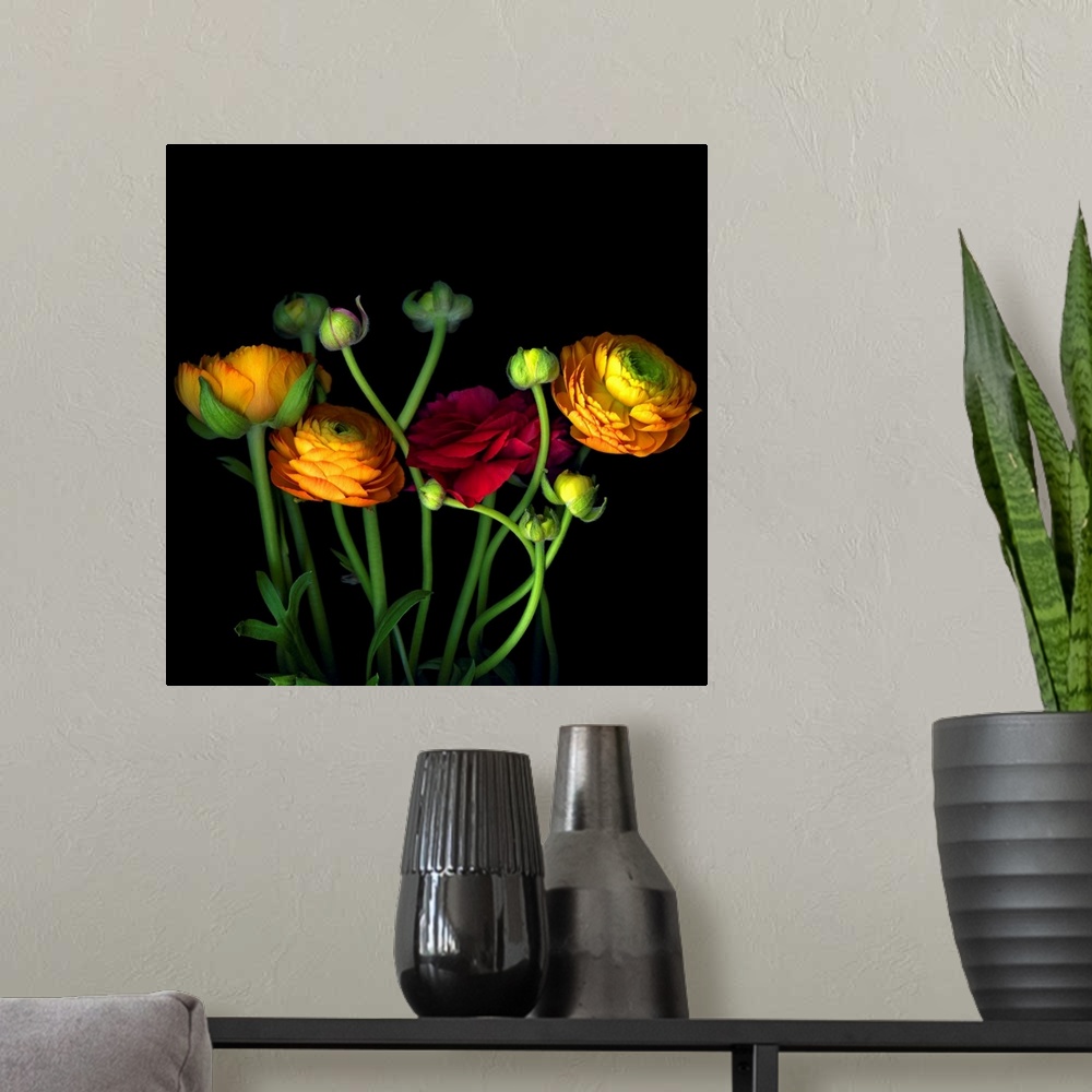 A modern room featuring Photograph of flowers and buds on dark background.