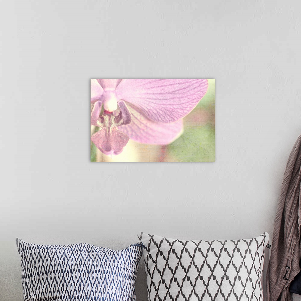A bohemian room featuring Big, horizontal , fine art, close up photograph of a partial orchid on a soft focus background.  ...