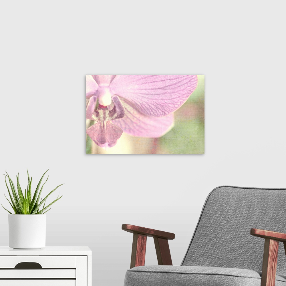 A modern room featuring Big, horizontal , fine art, close up photograph of a partial orchid on a soft focus background.  ...
