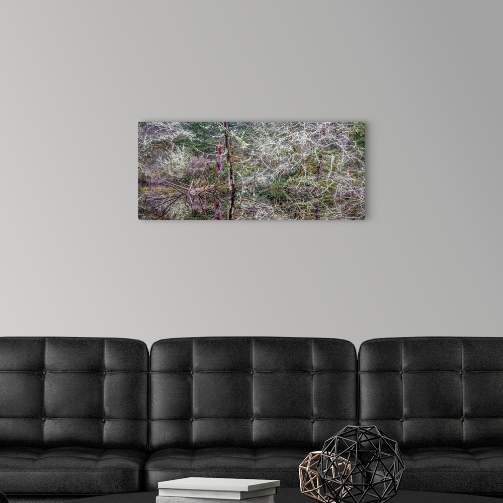 A modern room featuring USA, Oregon, Fort Stevens State Park, intricate forest scenics near Crabapple Lake.