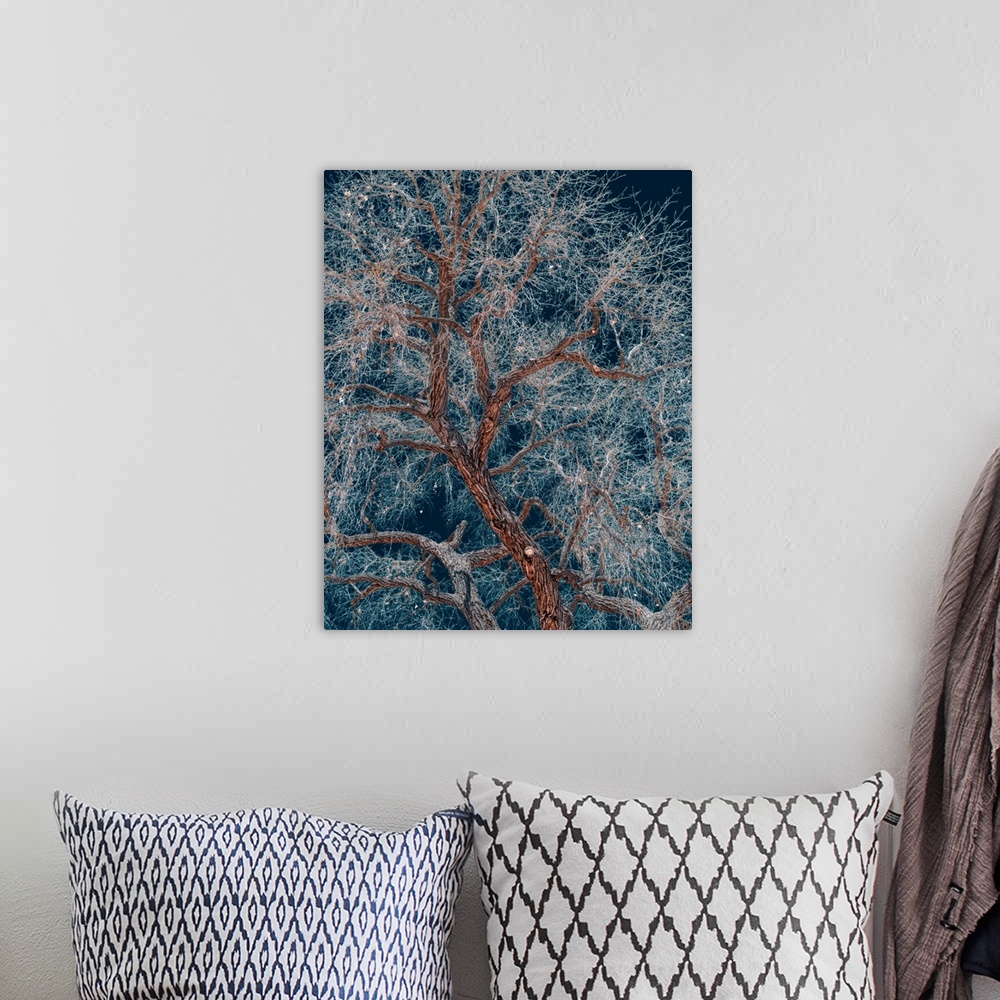 A bohemian room featuring A tree with icy branches in the winter.