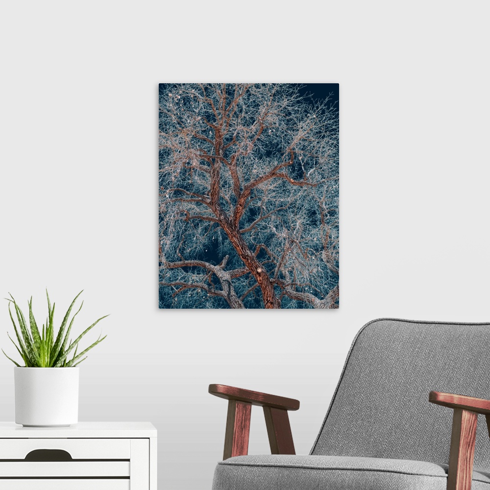 A modern room featuring A tree with icy branches in the winter.