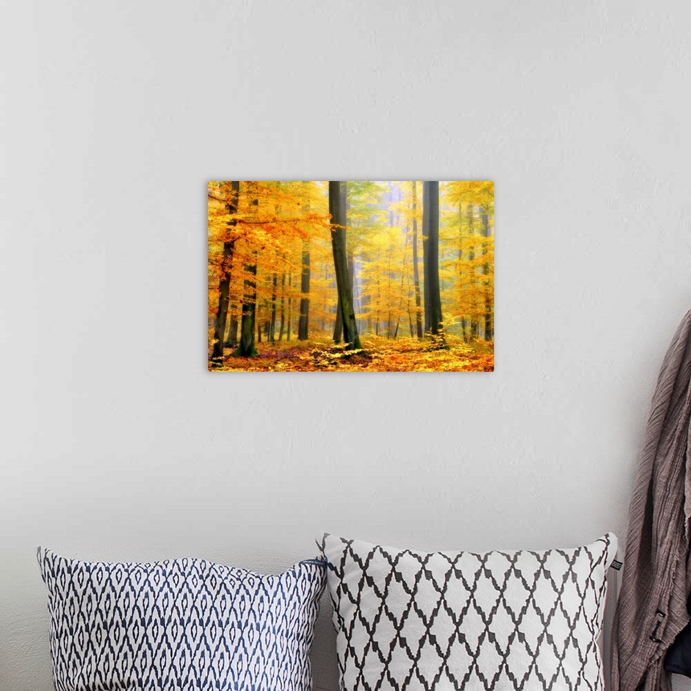 A bohemian room featuring Soft focus fine art photograph of a forest with tall trees covered in Fall colored bright yellow ...