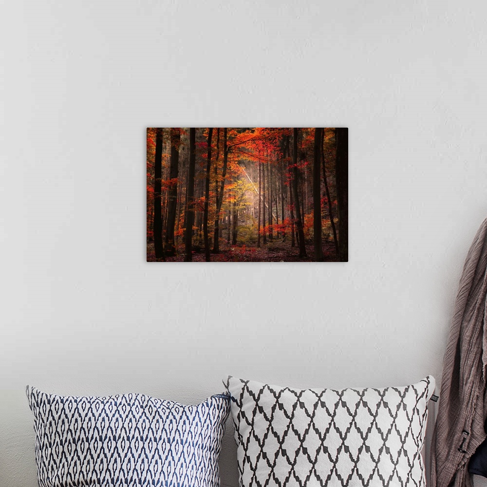 A bohemian room featuring A large piece of a mostly dark forest during autumn. A spot of light is shining through the top o...