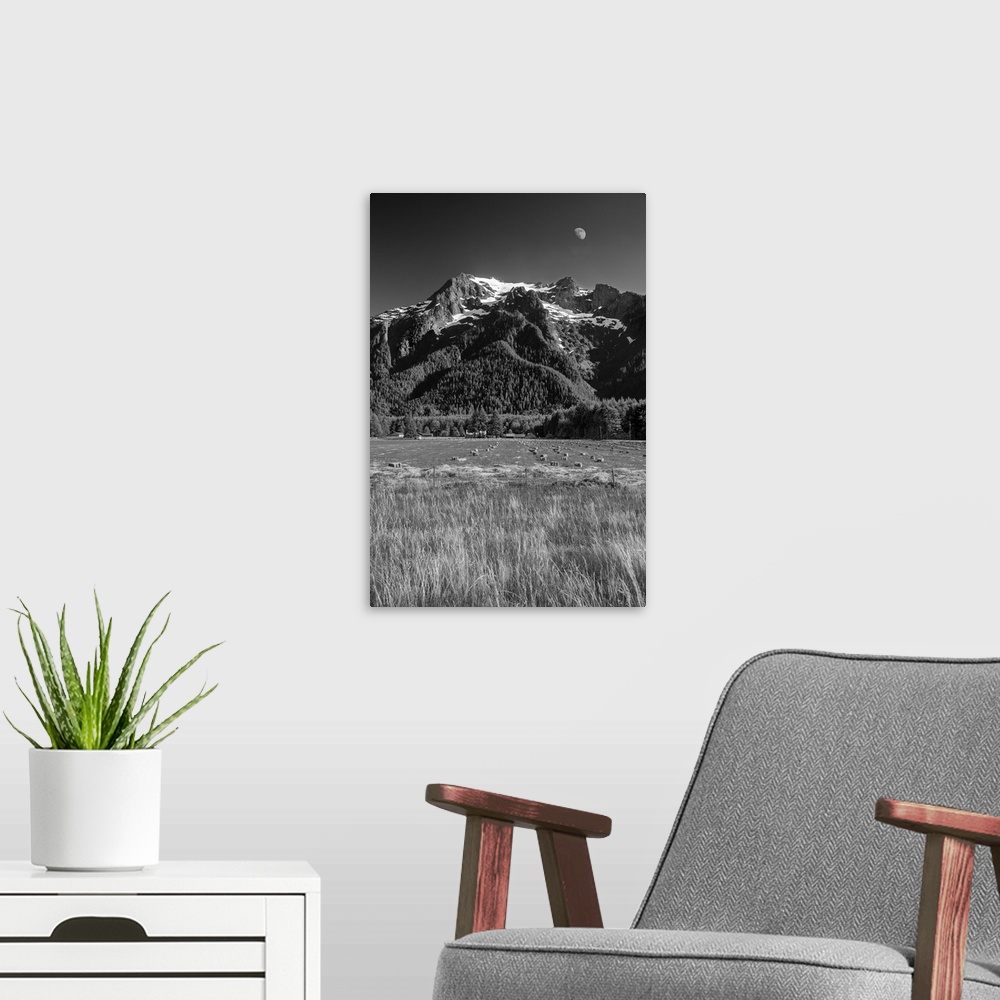 A modern room featuring Pacific Alps, Black and White