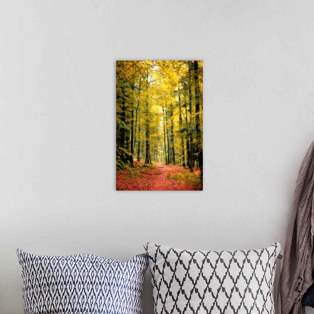 A bohemian room featuring Vertical photograph with a painted feel, of Autumn woods with yellow leaves on the trees and red ...