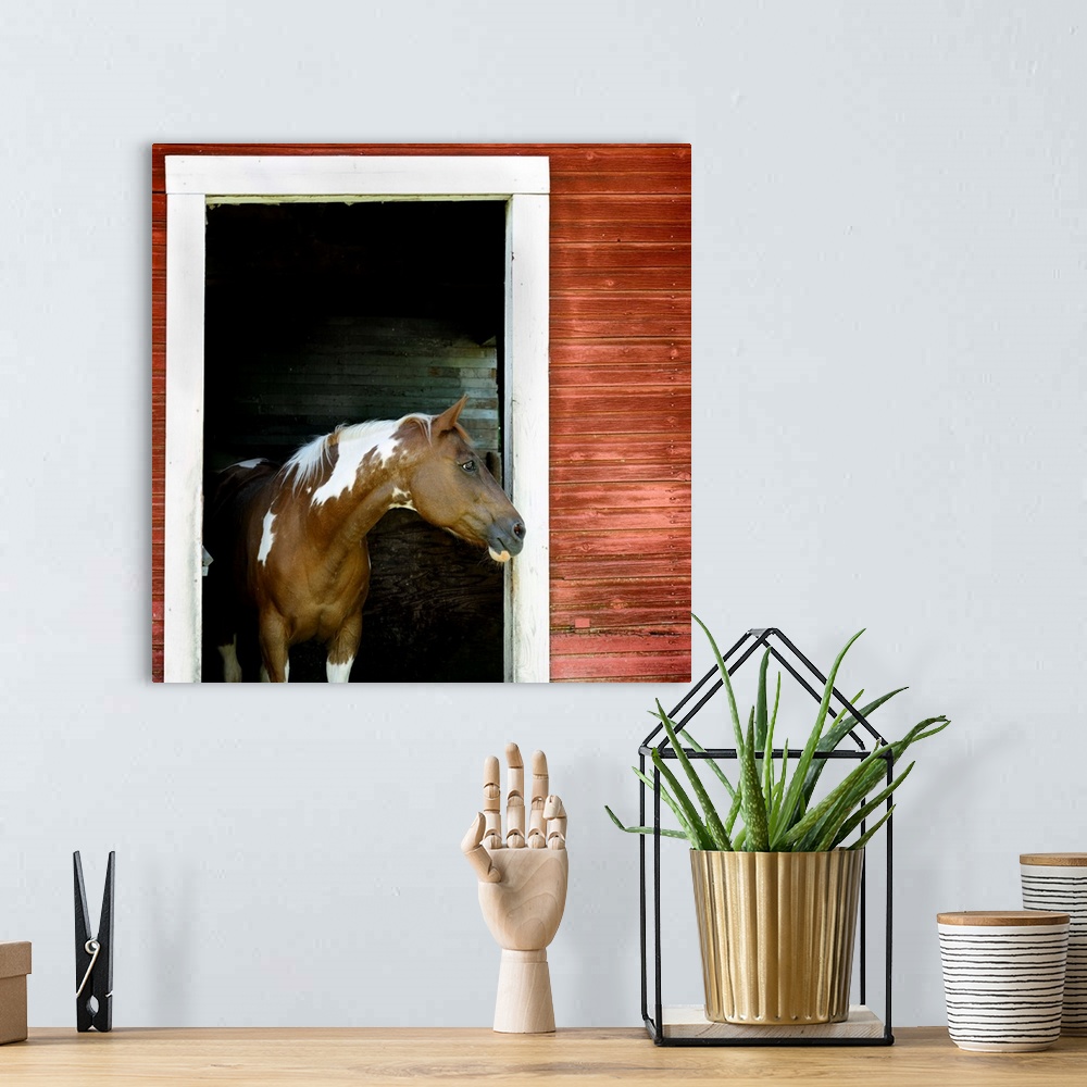 A bohemian room featuring A horse stands in the doorway of a red barn.
