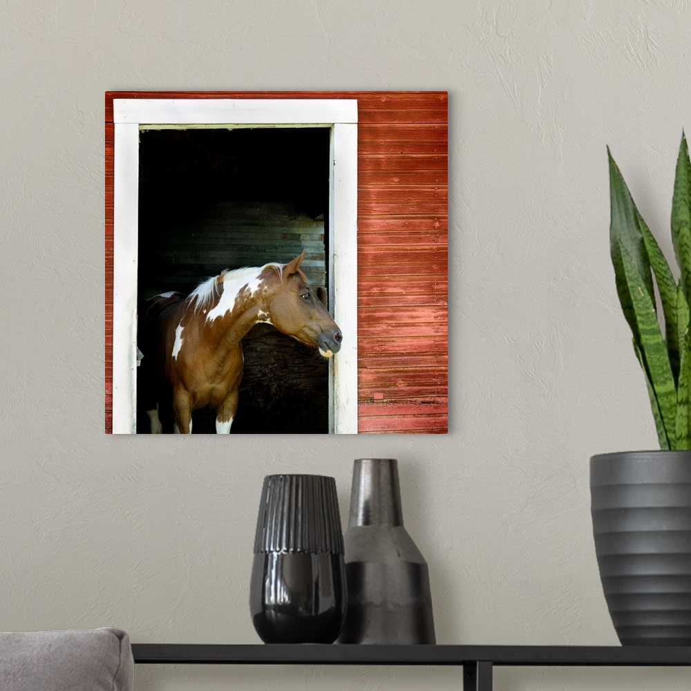 A modern room featuring A horse stands in the doorway of a red barn.