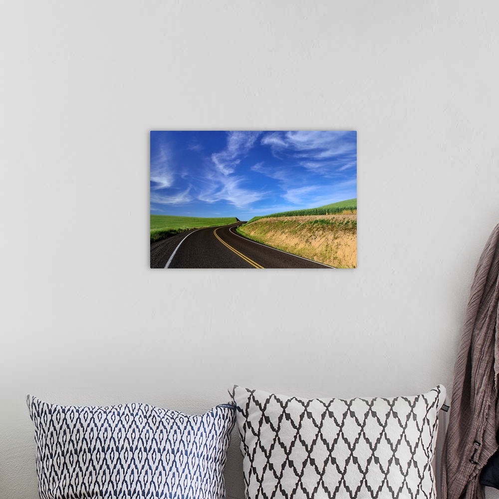 A bohemian room featuring Paved road through the fields of Palouse, Washington, under a blue sky.