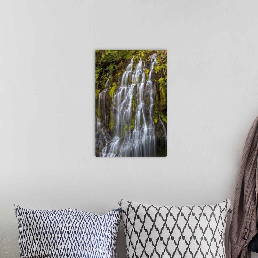 A bohemian room featuring Panther Creek Falls