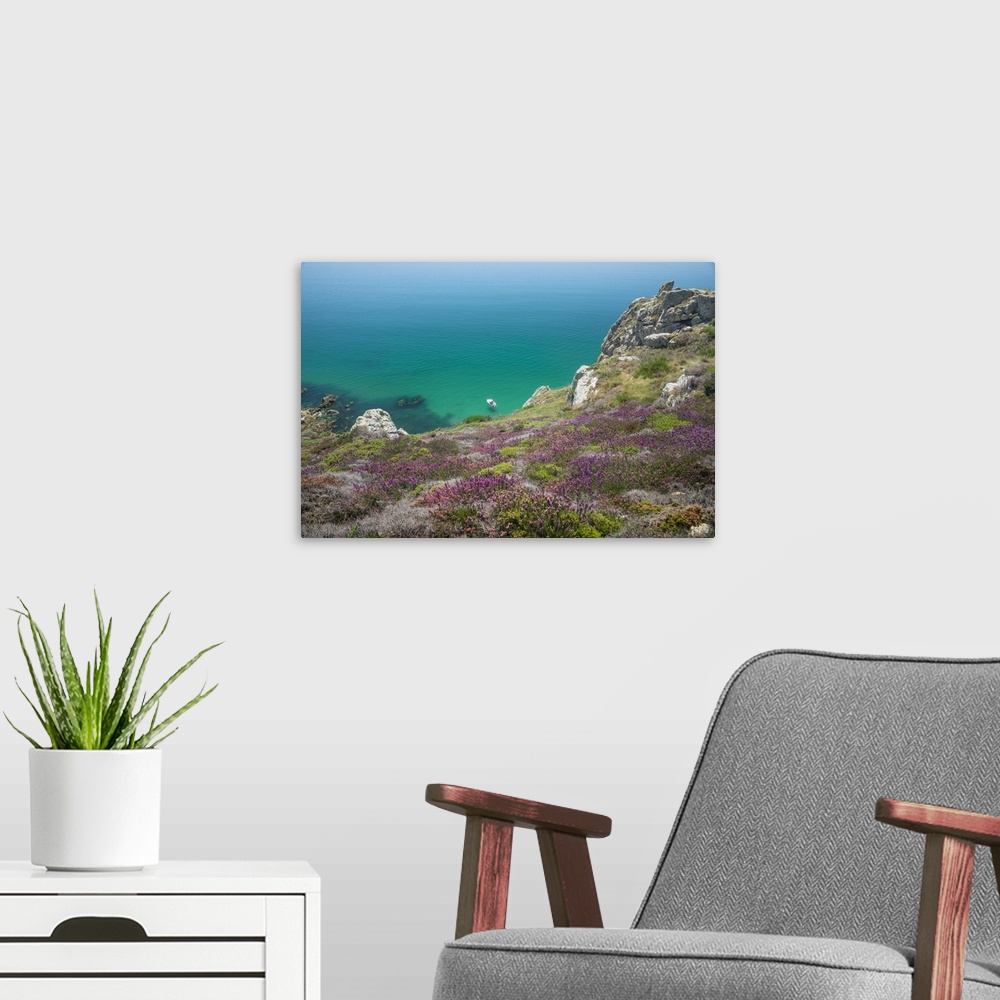 A modern room featuring Wildflowers on a cliff overlooking a turquoise sea.