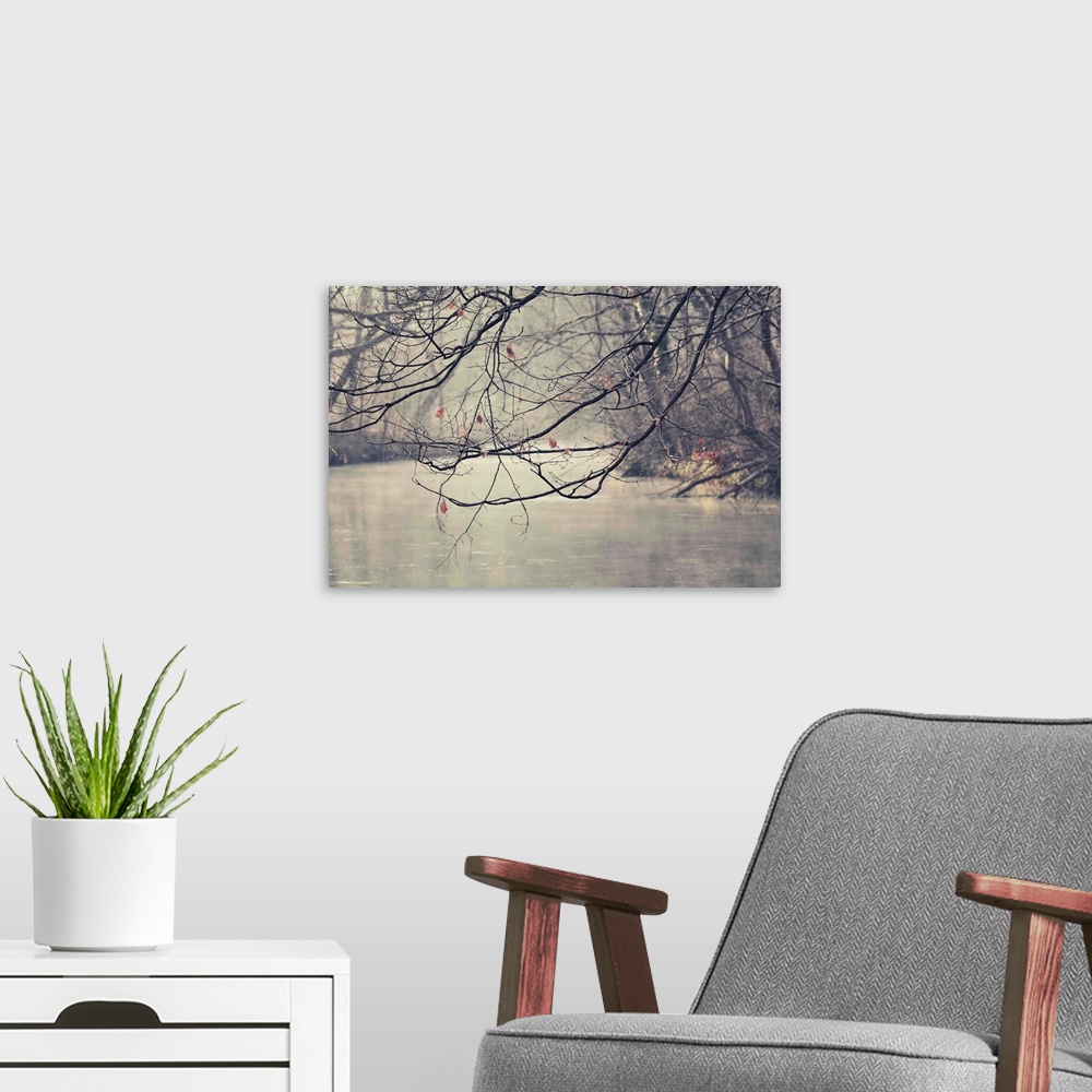 A modern room featuring Stream in winter with branches in the foreground