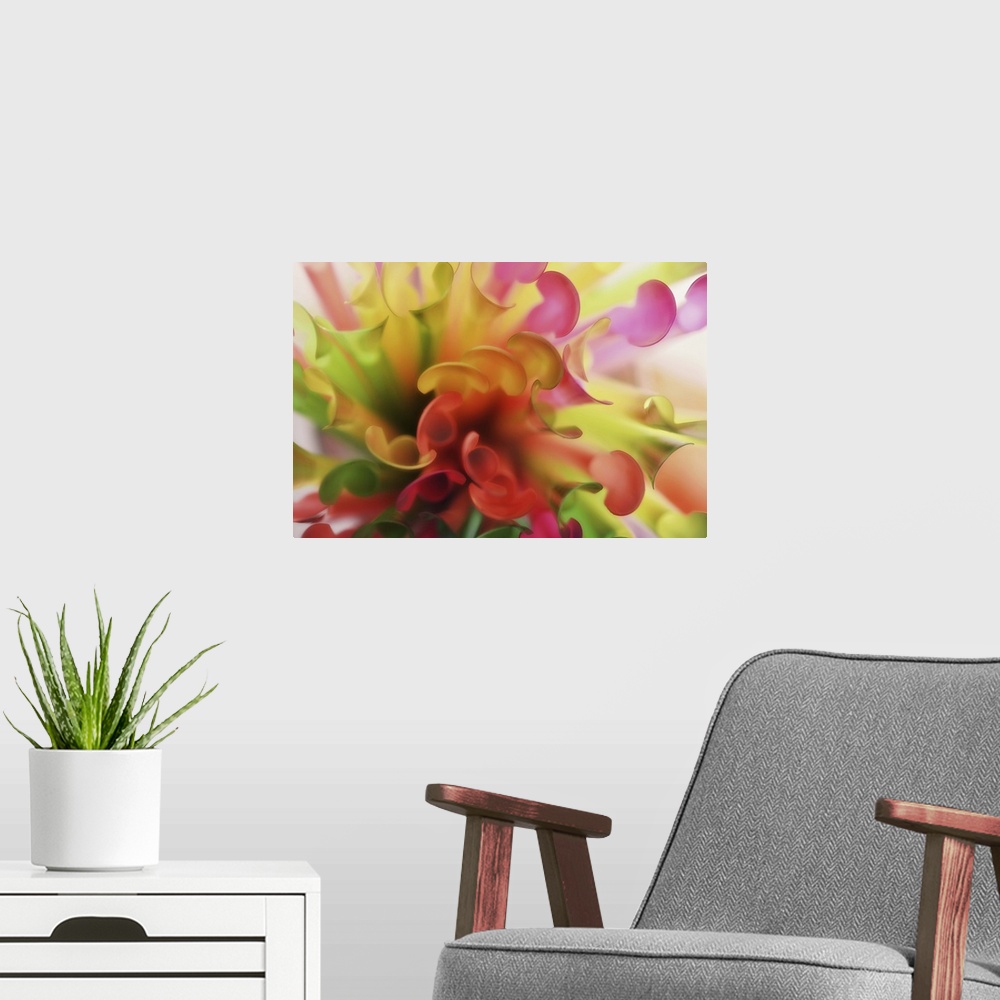 A modern room featuring A macro photograph of pink and yellow flowers.