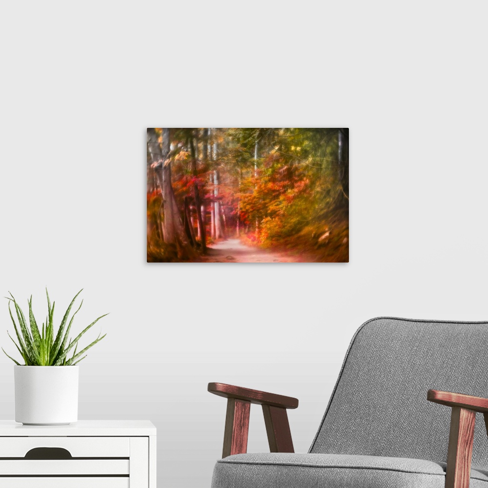A modern room featuring A path leading into a magical forest with a colorful painterly feel.