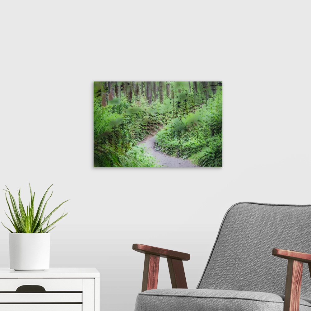 A modern room featuring Painterly forest scene lush with ferns, shrubs and trees.