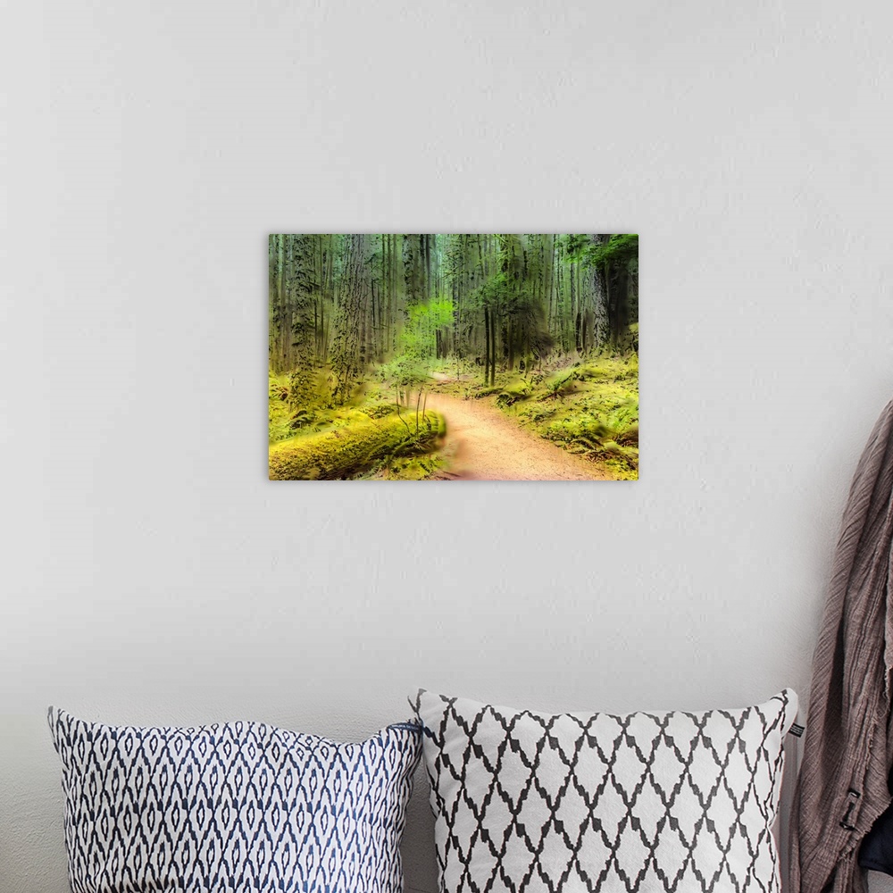 A bohemian room featuring A painterly scene of a path leading into a lush forest, captured with in-camera-movement and mult...