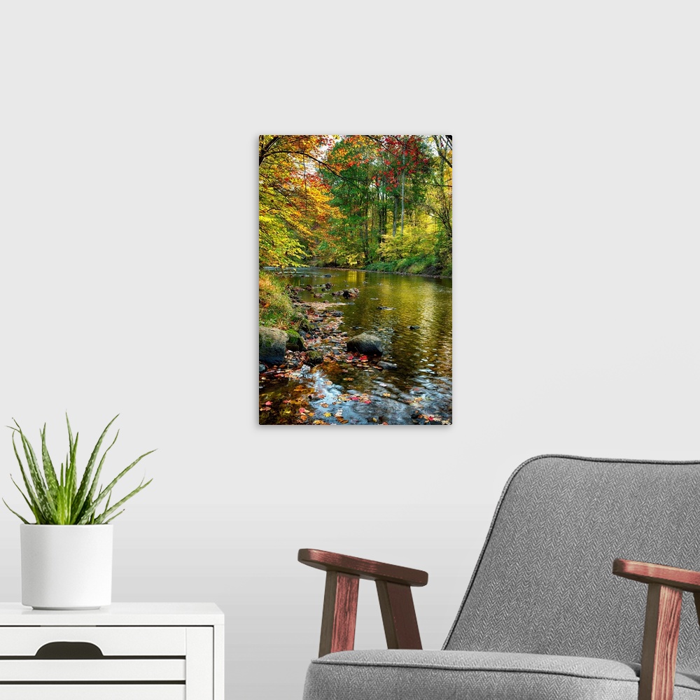 A modern room featuring Fine art photo of a river in an autumn forest in New Jersey.