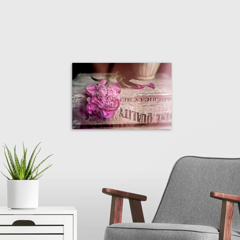 A modern room featuring Soft photograph of a pink peony resting on a weathered book.