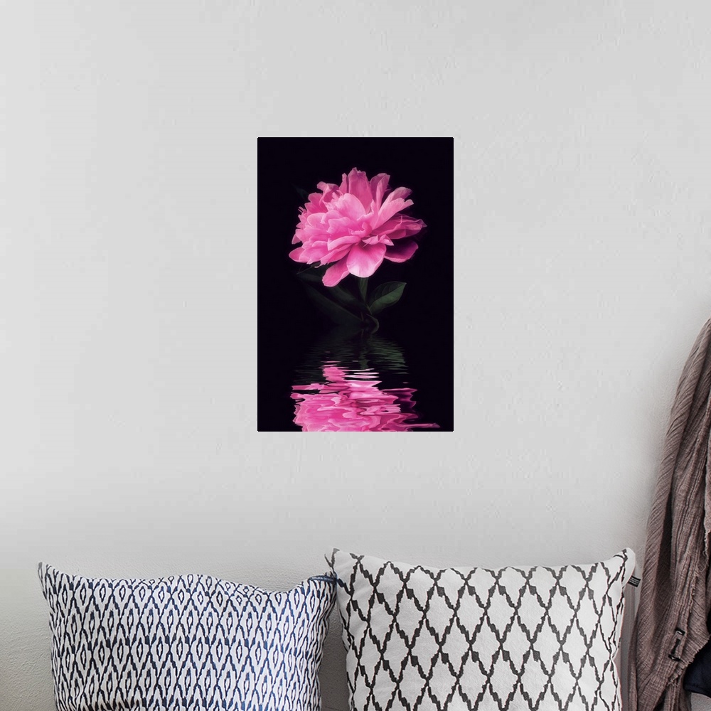 A bohemian room featuring Peony is reflected in water
