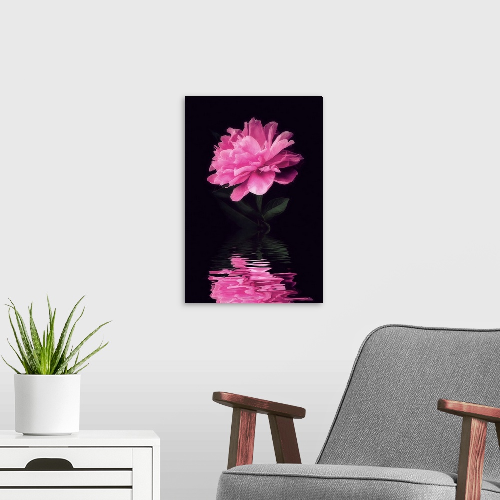 A modern room featuring Peony is reflected in water