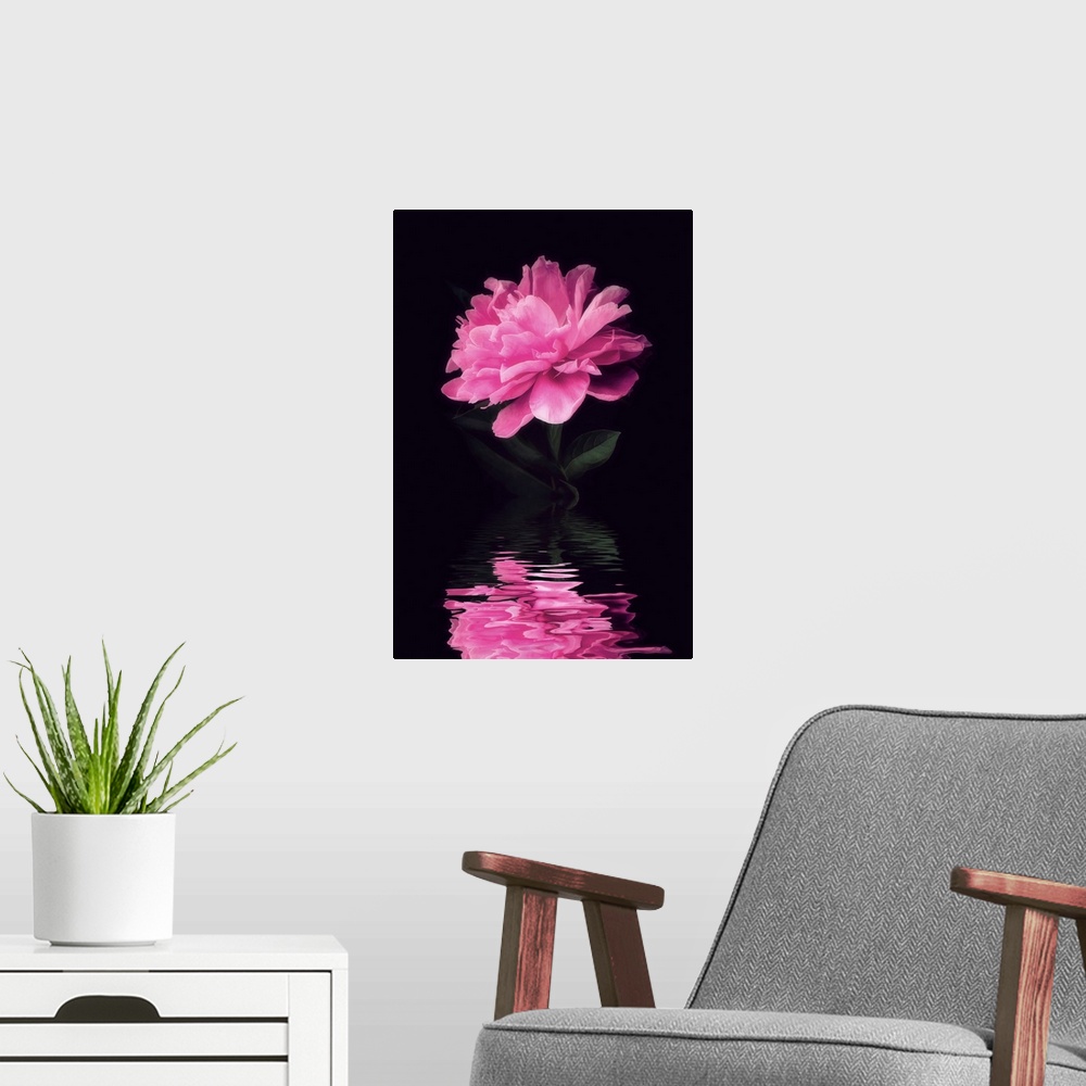A modern room featuring Peony is reflected in water