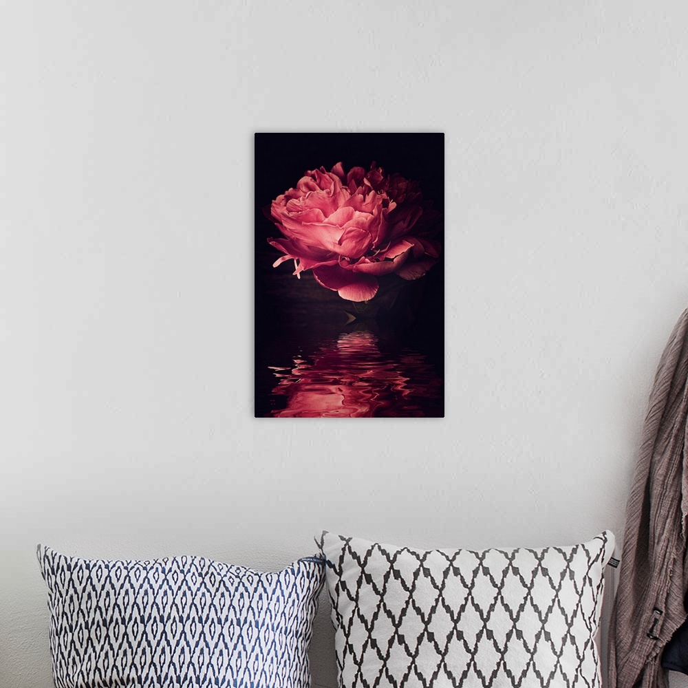A bohemian room featuring Big peony head reflecting in the water