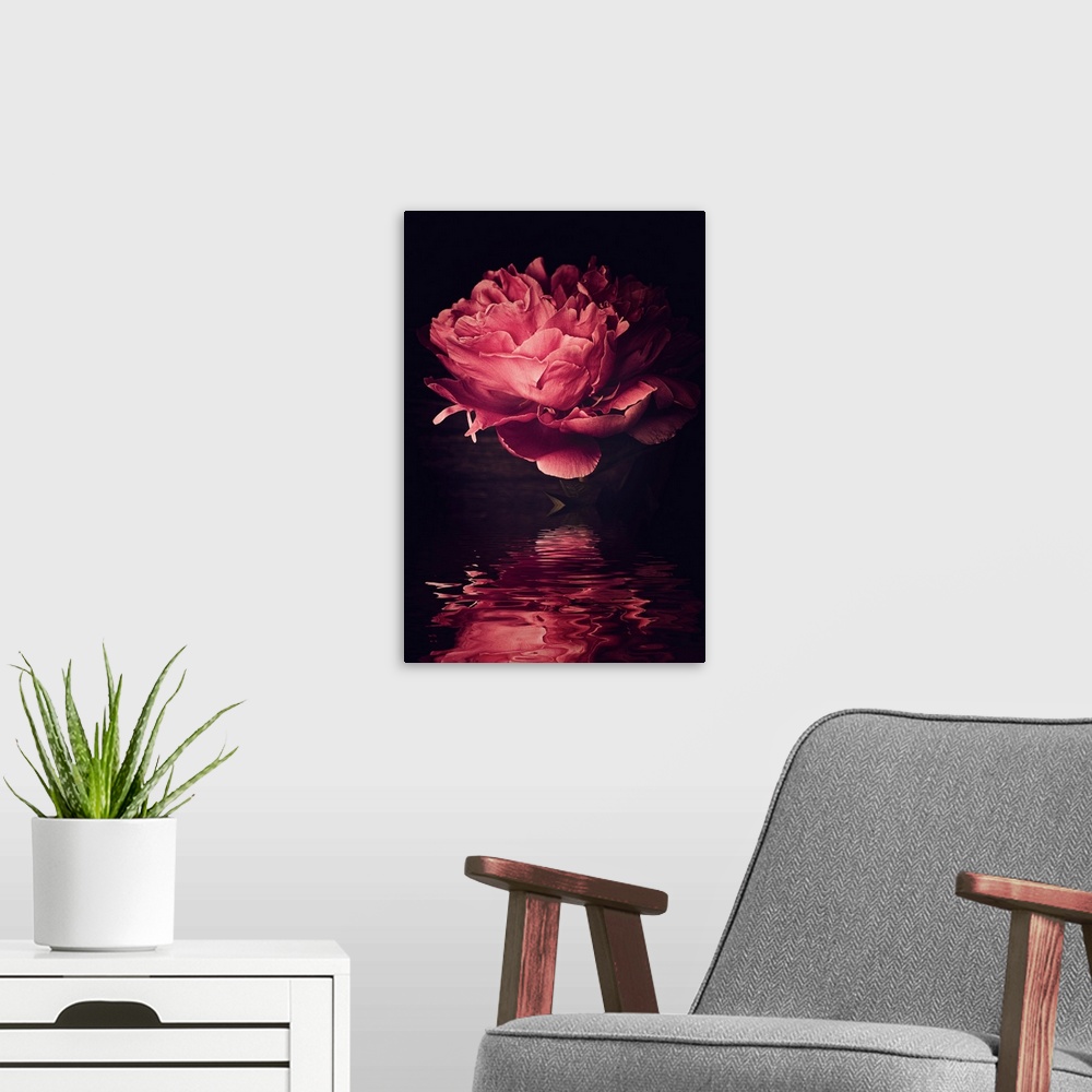 A modern room featuring Big peony head reflecting in the water