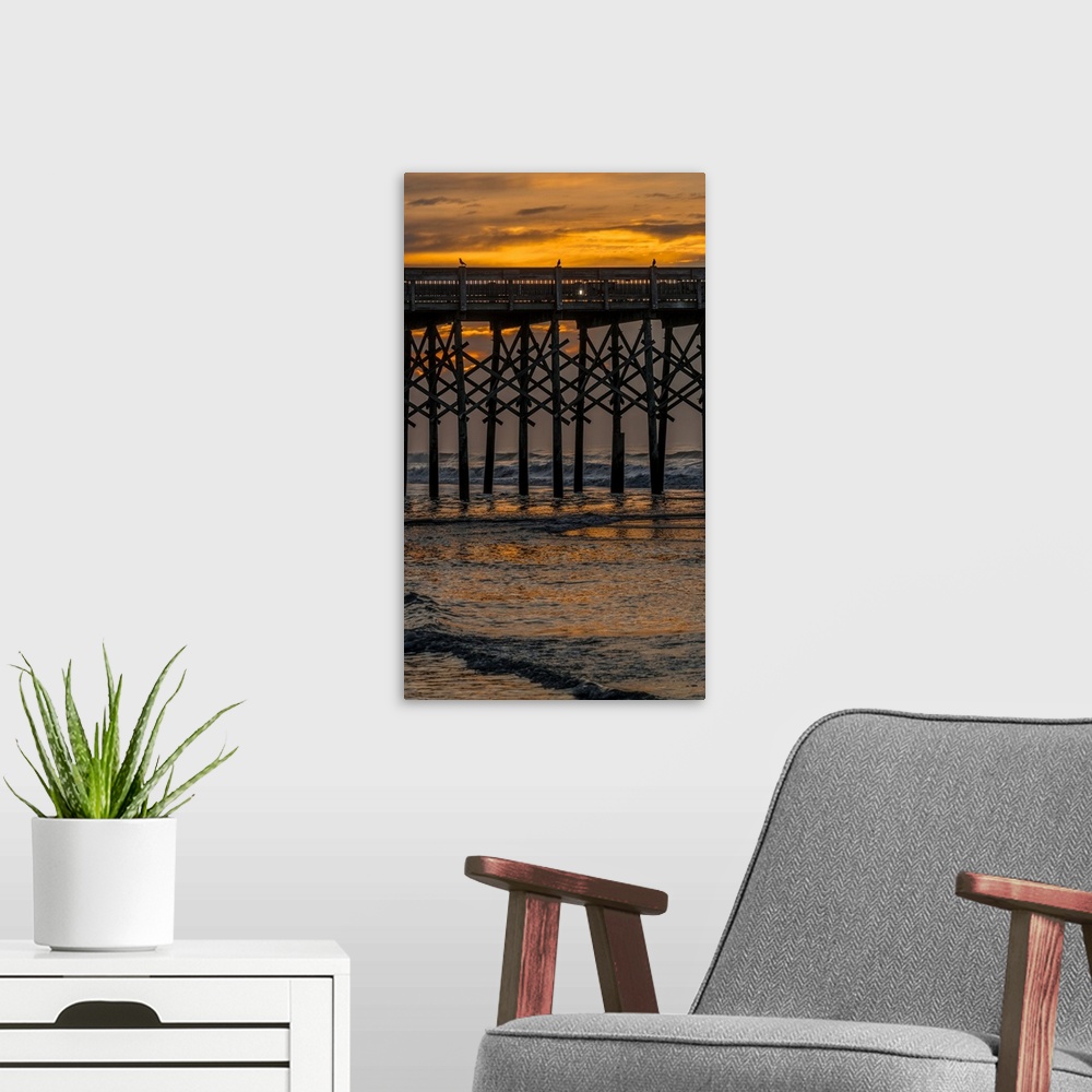 A modern room featuring Birds perched on the wooden posts under a pier over the ocean at sunset.