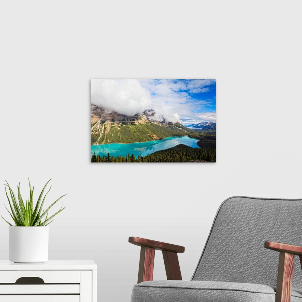 A modern room featuring Peyto Lake with Reflections, Alberta, Canada
